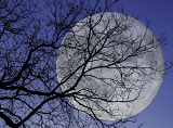 今年最后一次超级月亮7日现身 几点几分观看最佳?