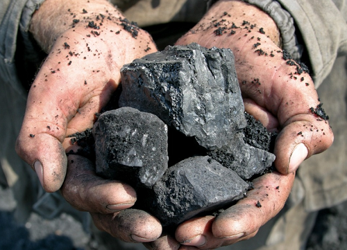 动力煤价格预测