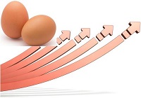 6月17日鸡蛋价格最新价格 鸡蛋期货价格行情走势