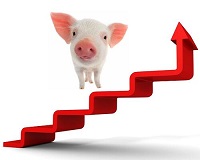 6月18日生猪期货价格 生猪期货行情走势