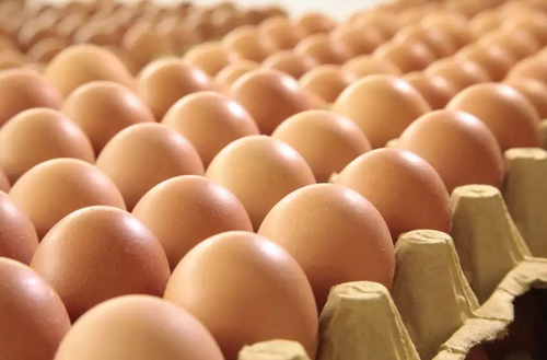 鸡蛋价格走势预测