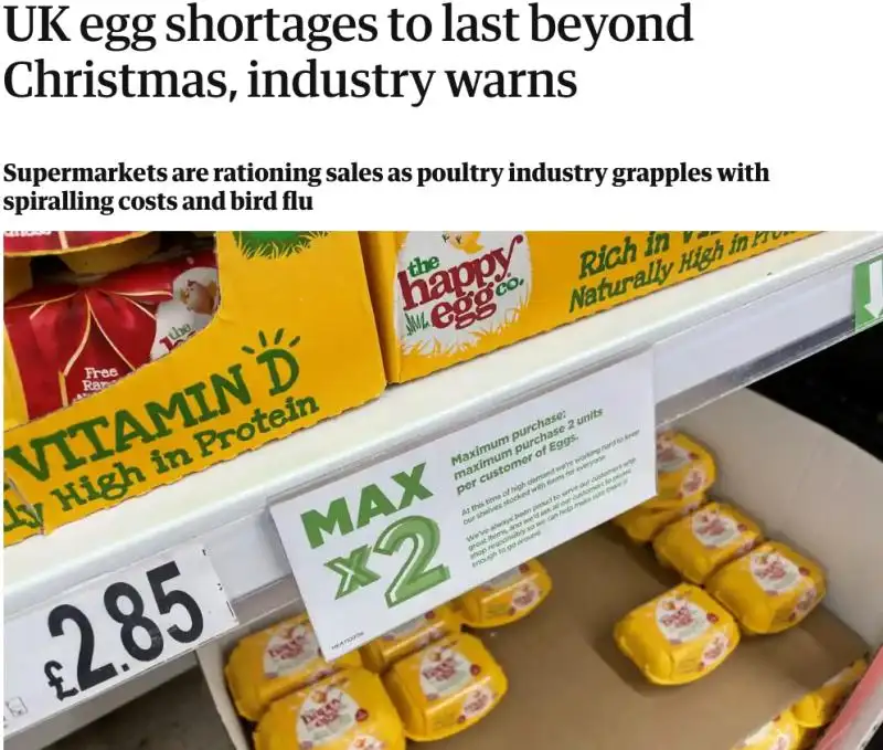 英国正陷入“鸡蛋荒”，部分商超实施鸡蛋限购政策，“鸡蛋荒”或要持续到圣诞节后！