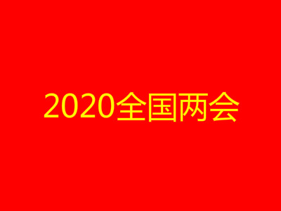 2020全国两会