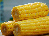 2020年全国玉米价格一览表 4月30日玉米多少一吨？