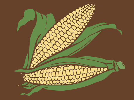 今日玉米价格多少？2020年7月14日玉米最新行情
