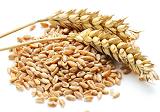 小麦期货7月13日价格行情 后市麦价上涨受抑