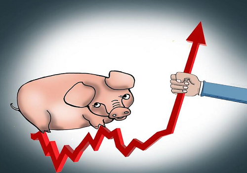 猪价行情2021预测