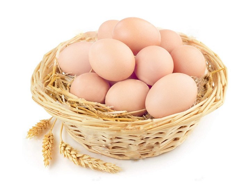 蛋价行情预测