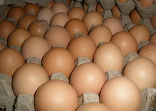 鸡蛋价格走势