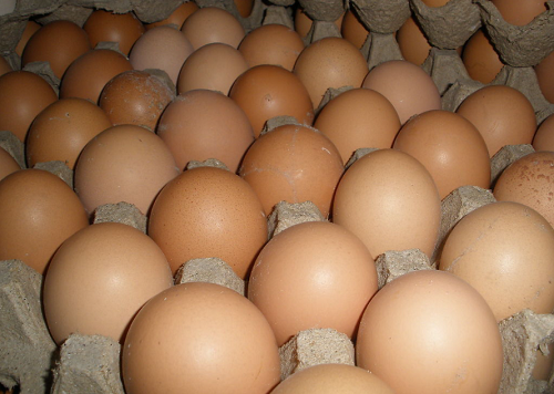鸡蛋价格行情