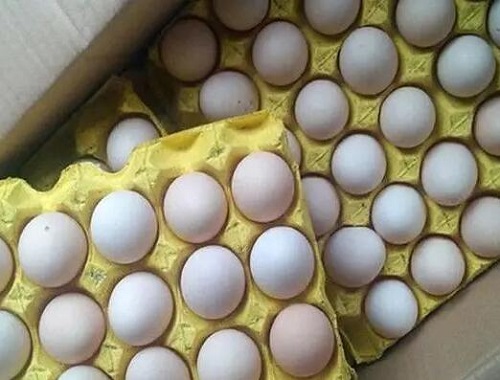 鸡蛋价格最新行情走势