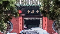 少林寺要进军房地产了 4.52亿拿下郑州一宗商业用地