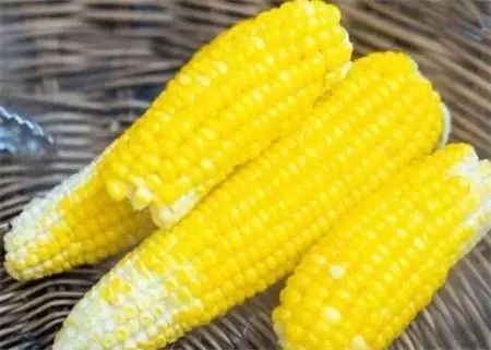 农民日报评一根玉米卖6元   “助农”成了“伤农”闹剧